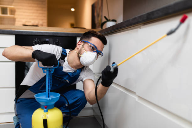 Best Commercial Pest Control Services  in Pinecrest, FL