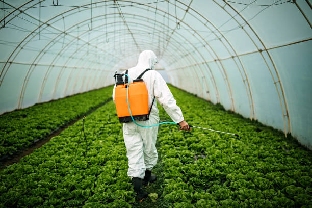 Best Affordable Pest Control Services  in Pinecrest, FL