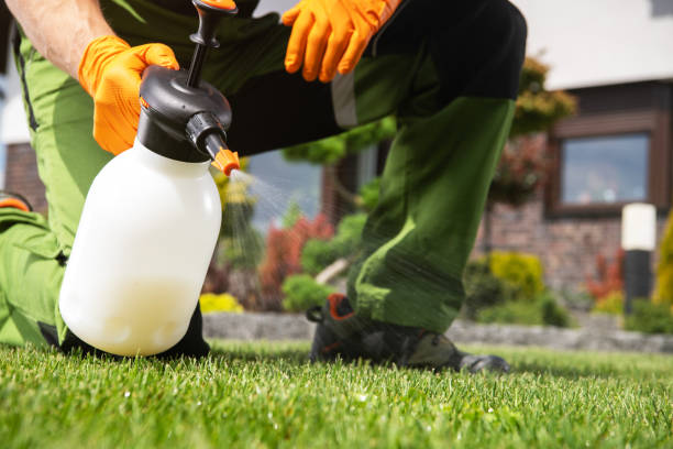 Best Pest Removal Services  in Pinecrest, FL