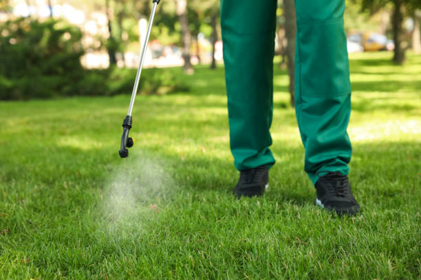 Best Residential Pest Control  in Pinecrest, FL