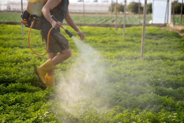 Best Pest Prevention Services  in Pinecrest, FL