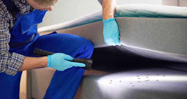 Best Commercial Pest Control Services  in Pinecrest, FL